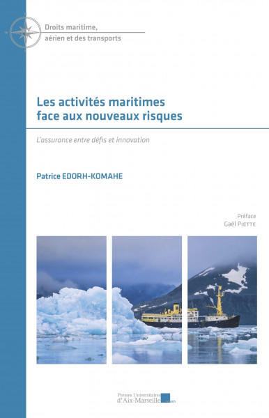 Les activit&eacute;s maritimes face aux nouveaux risques