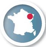 La licence professionnelle : pour une insertion rapide sur le marché du travail