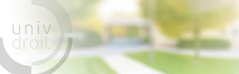 Les mutations du droit international privé : vers un changement de paradigme ?